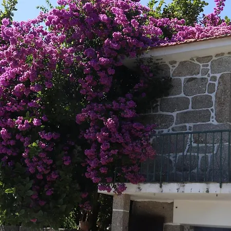 Ich Inveja Farmház Paços de Ferreira