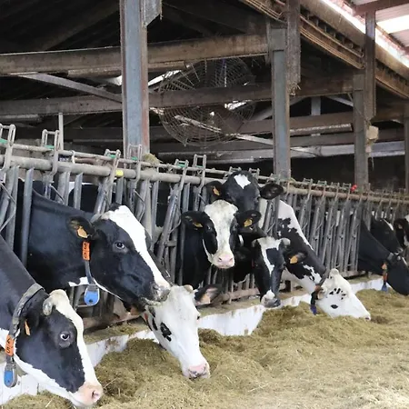 Ich Inveja Vakantieboerderij