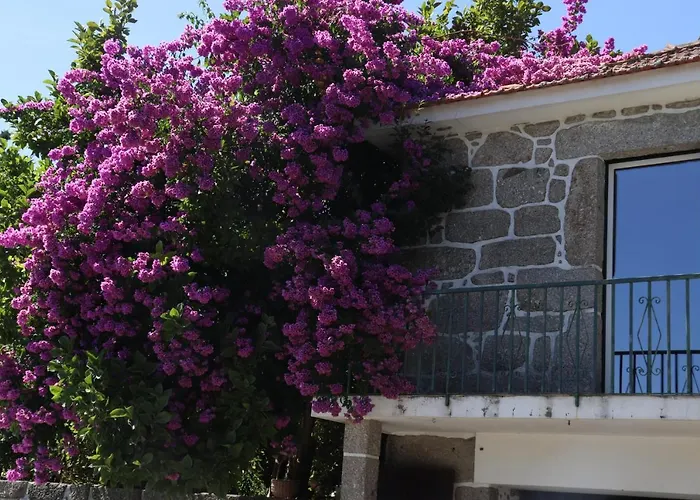 Ich Inveja Lantgård Pacos de Ferreira