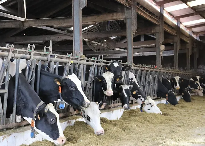 Ich Inveja Lantgård